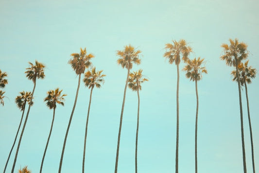 What Is “Cali Sober?”