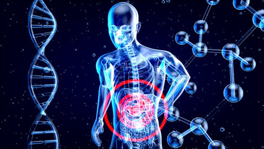 THC and Gut Health