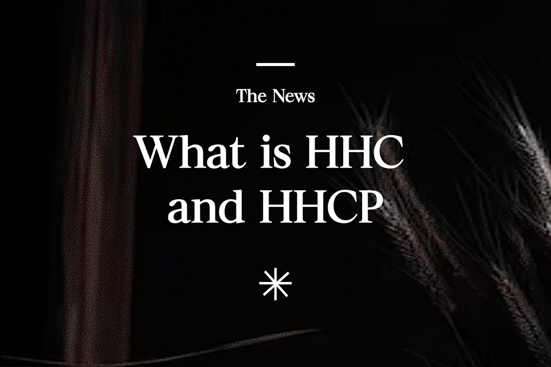 What is HHC and HHCP