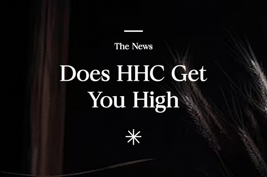 Does HHC get you high?