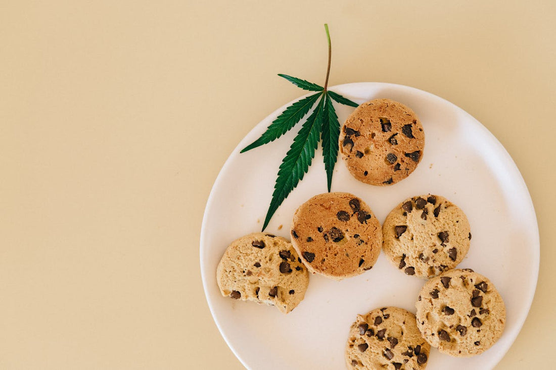 The Evolution of Cannabis Edibles: Past, Present and Future